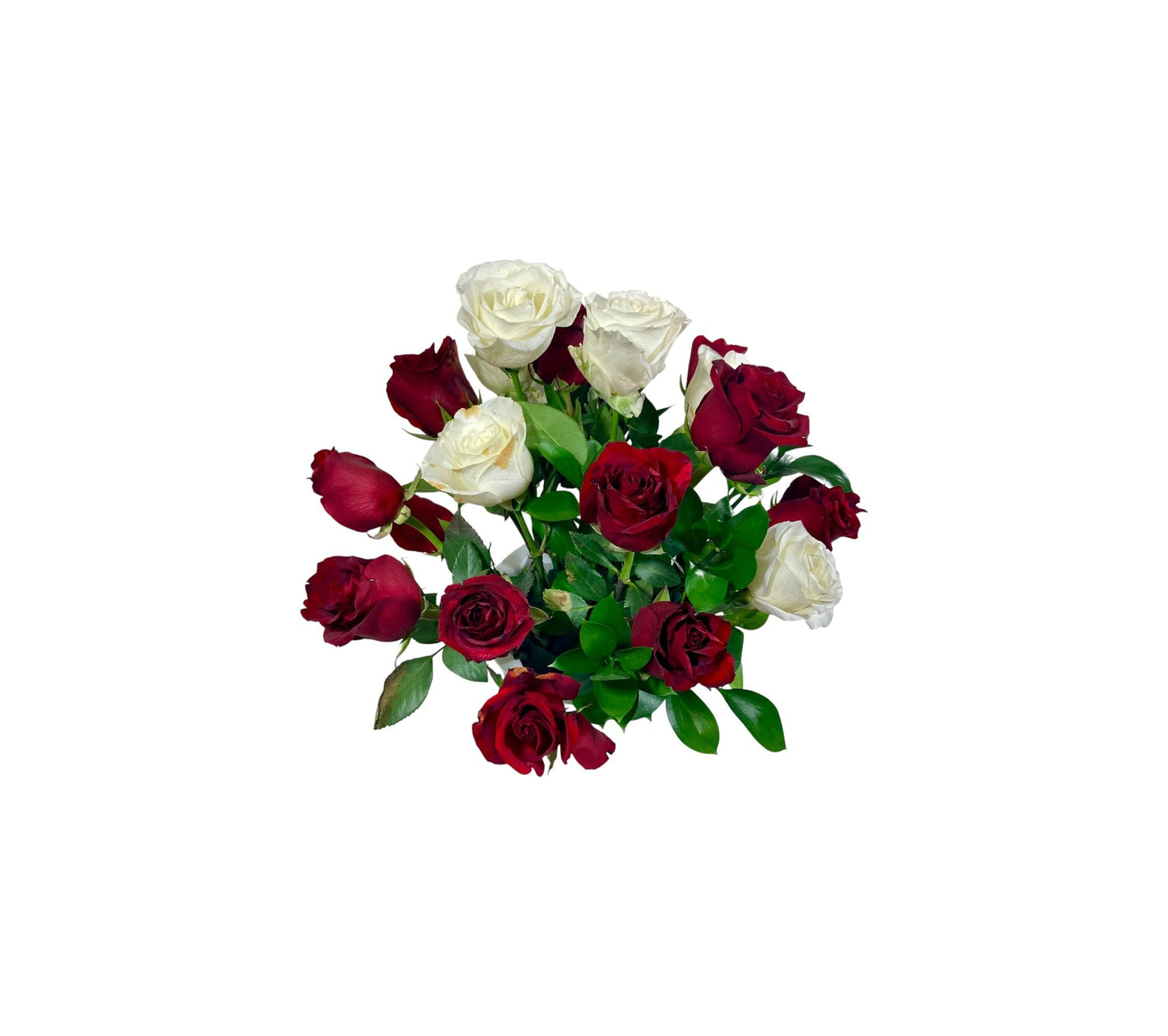 SJC24 – Classic Red & White Rose Arrangement
