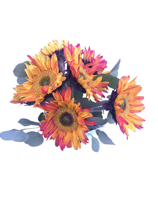 🎃 Halloween Sunflower Arrangement with Silver Dollar Eucalyptus
